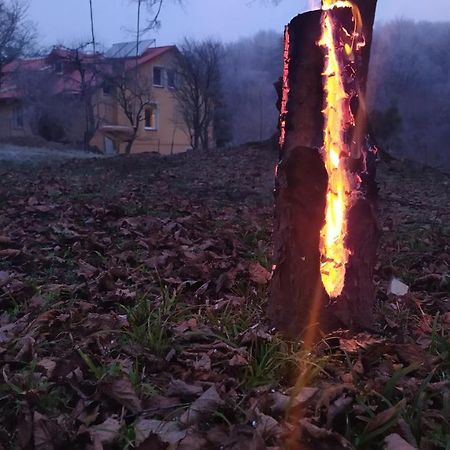Apartament W Domu Na Wsi Tomaszów Lubelski Eksteriør billede