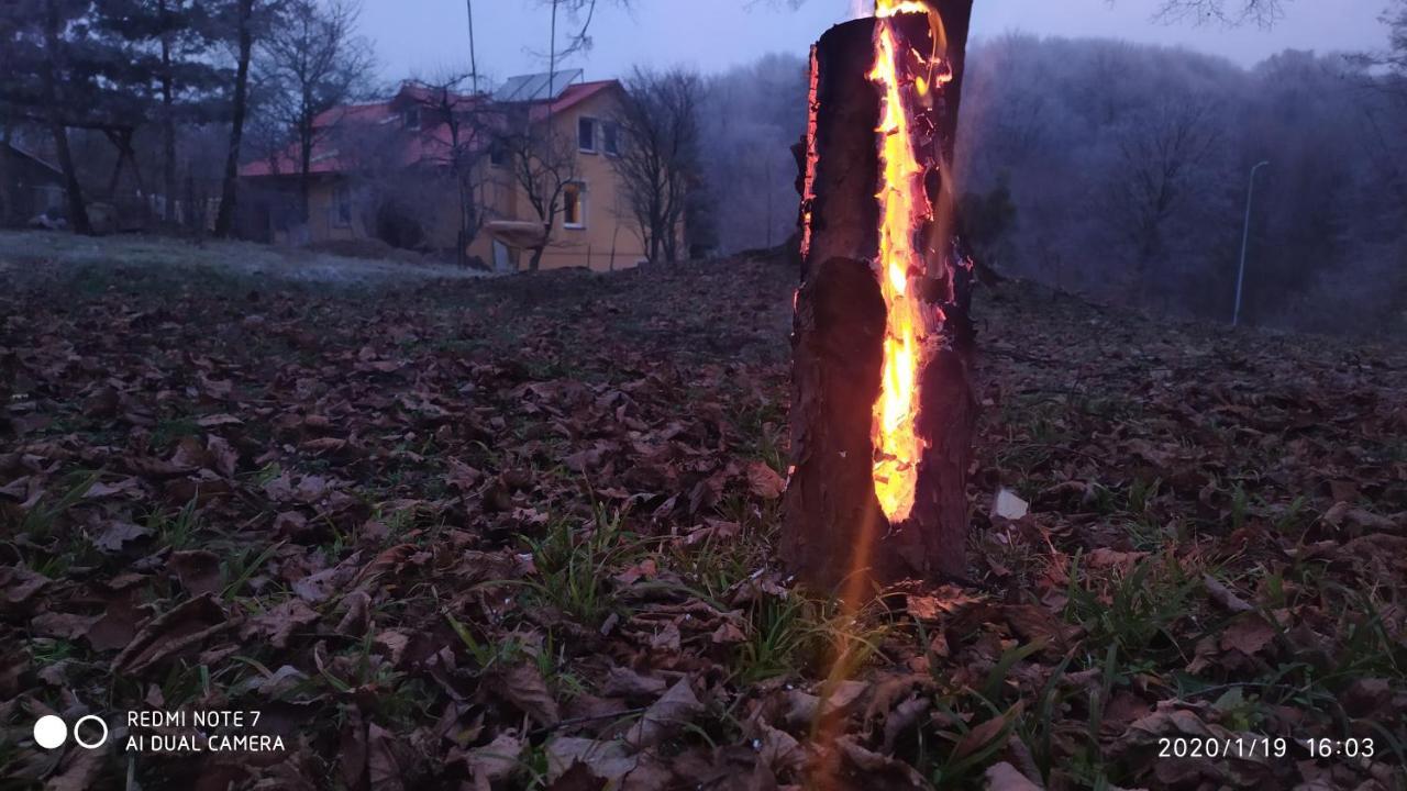 Apartament W Domu Na Wsi Tomaszów Lubelski Eksteriør billede