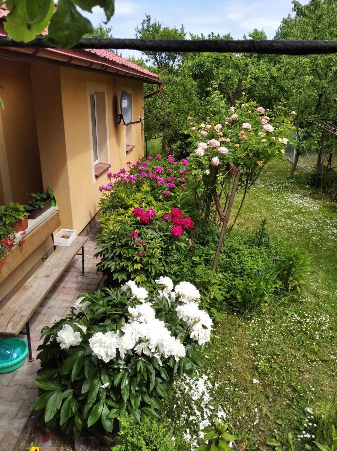 Apartament W Domu Na Wsi Tomaszów Lubelski Eksteriør billede