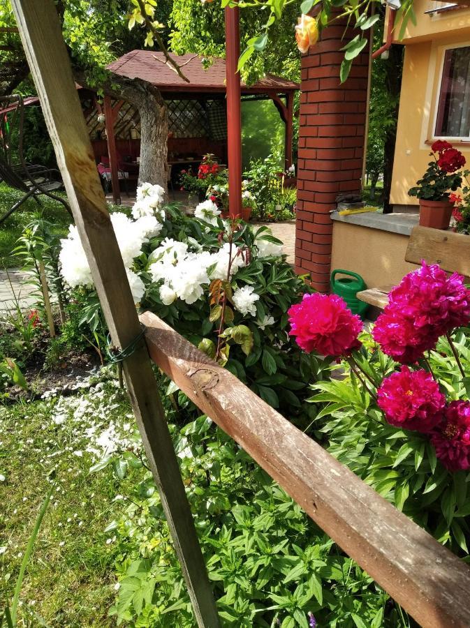 Apartament W Domu Na Wsi Tomaszów Lubelski Eksteriør billede