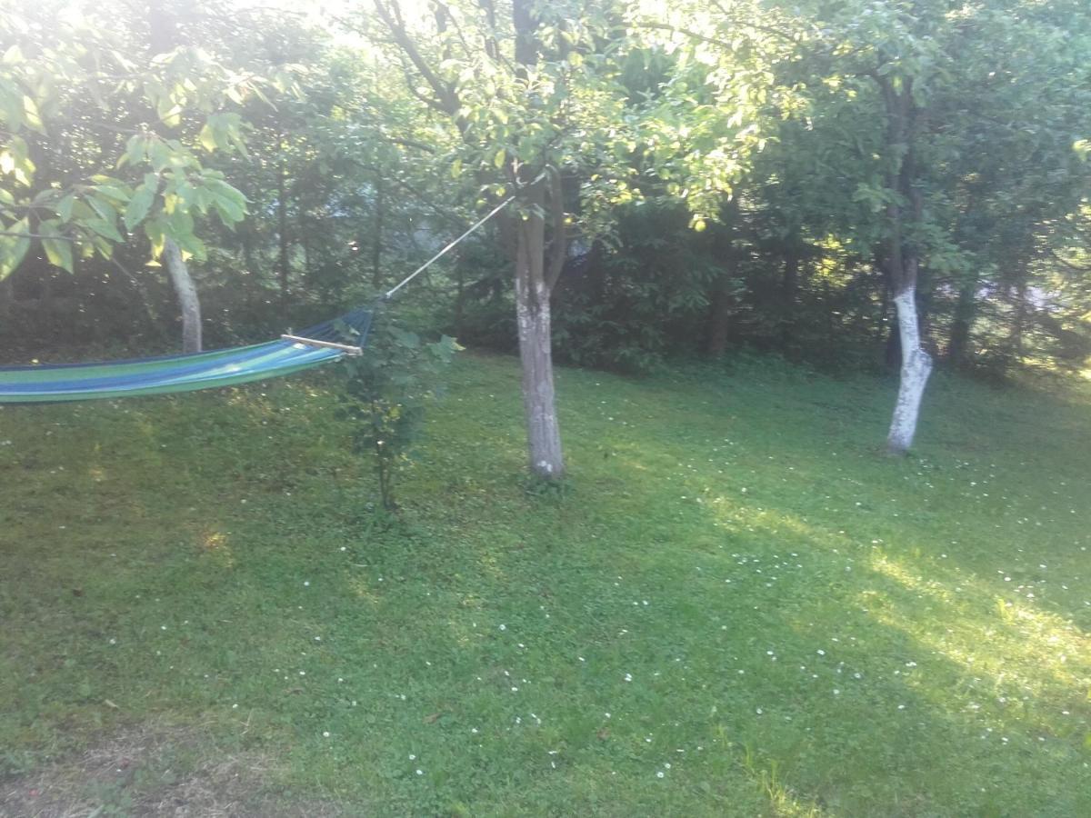 Apartament W Domu Na Wsi Tomaszów Lubelski Eksteriør billede